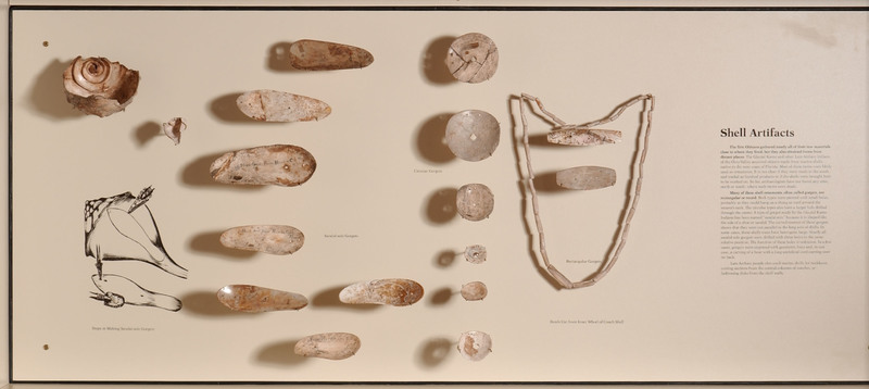 4.8 Marine Shell Artifacts